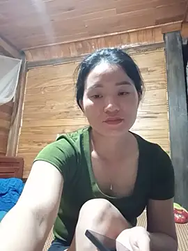 Td3di webcam