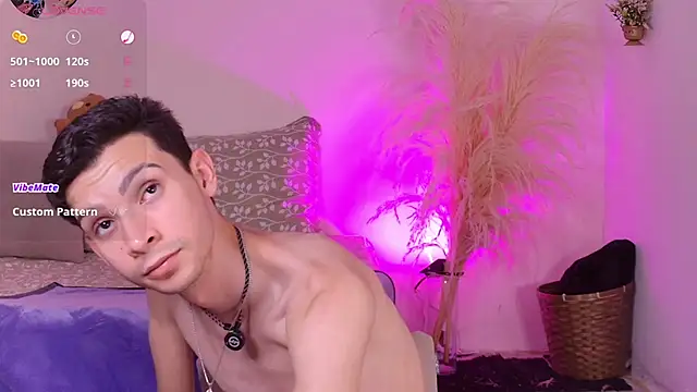 VicenteFerrer webcam