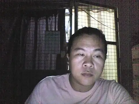 sysy300 webcam