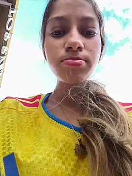 Vanneskk webcam
