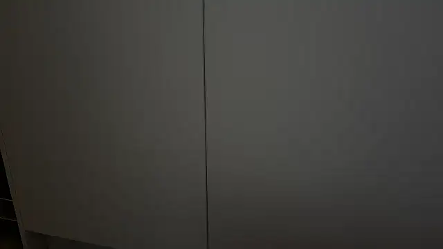 adelaide2026 webcam