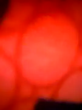 Tamil_Hot_HoneyBee webcam