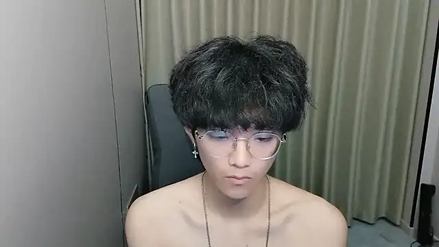 wssoo11 webcam