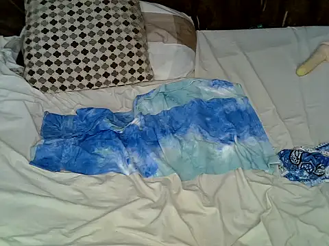 slim_mee webcam