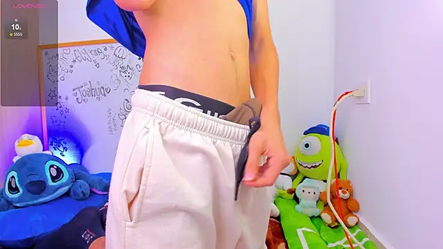 Ely_king webcam