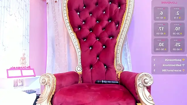 Mirarossi_ webcam