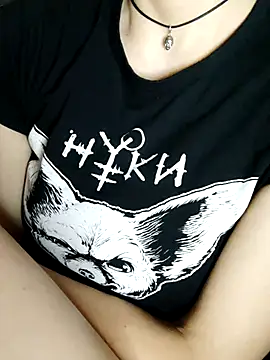 Aashikalaa webcam