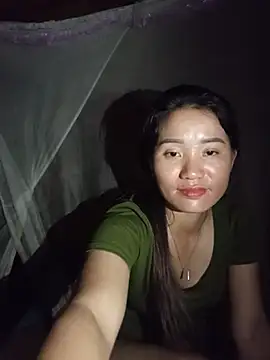 Td3di webcam
