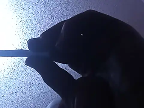 Blkstylion webcam