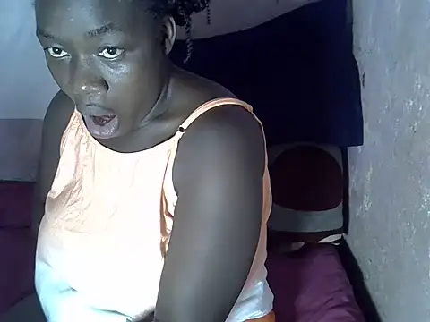 tashlin webcam