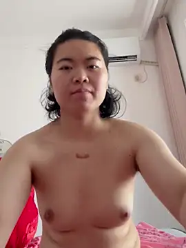 Fbshbsk33 webcam