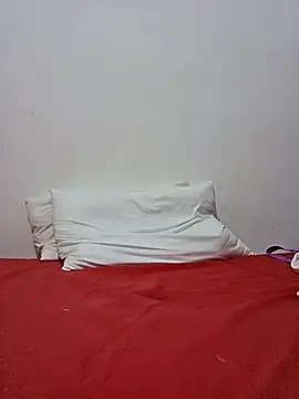 altinya webcam