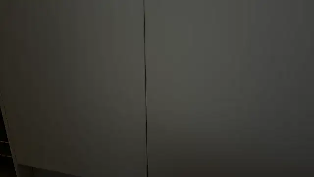adelaide2026 webcam
