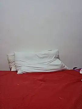 altinya webcam