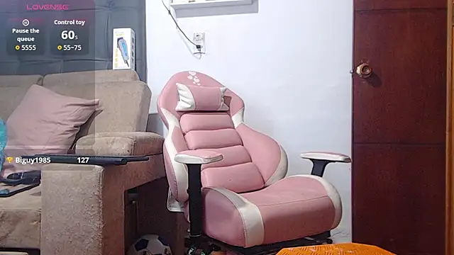 paulsprominence webcam