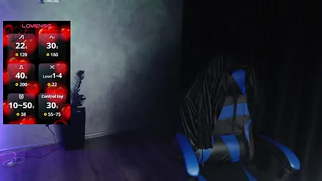 Provokeddream webcam