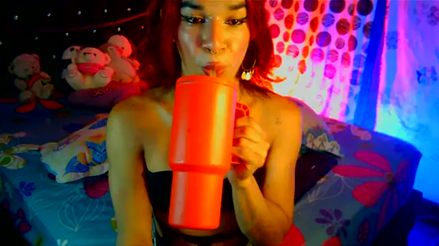 terra_1111 webcam