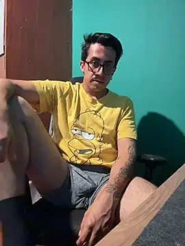 Andy_n_cat webcam