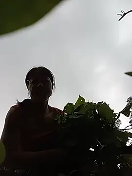 Lily-ly webcam