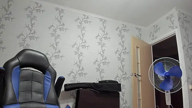 SanFrantsisko webcam