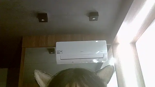 SkinnyKitten webcam