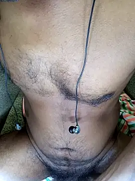 SL-Robinsan webcam