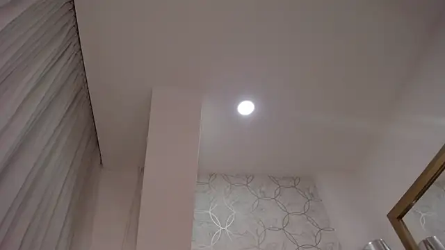 Foxy200__ webcam