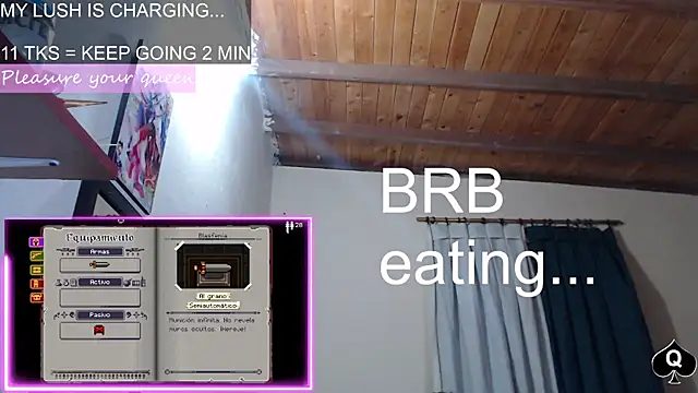 Robin_H00t_2 webcam