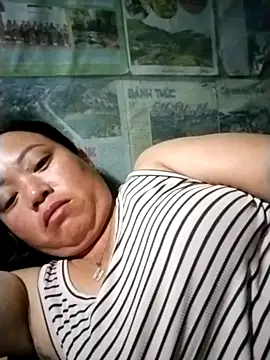 Min-in webcam