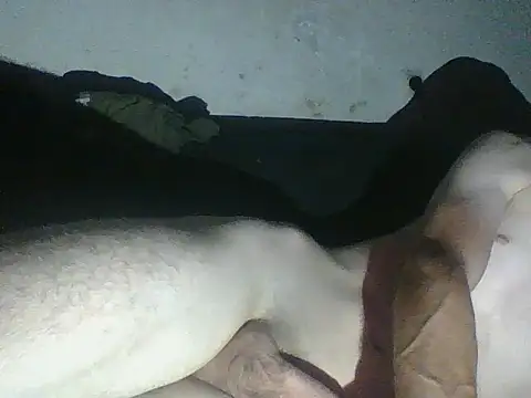 BisexABS webcam