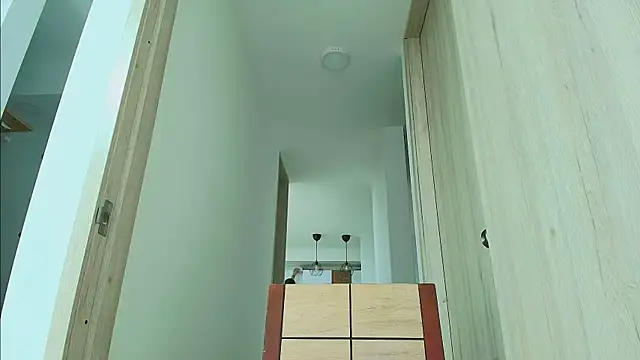 thomas_gun webcam
