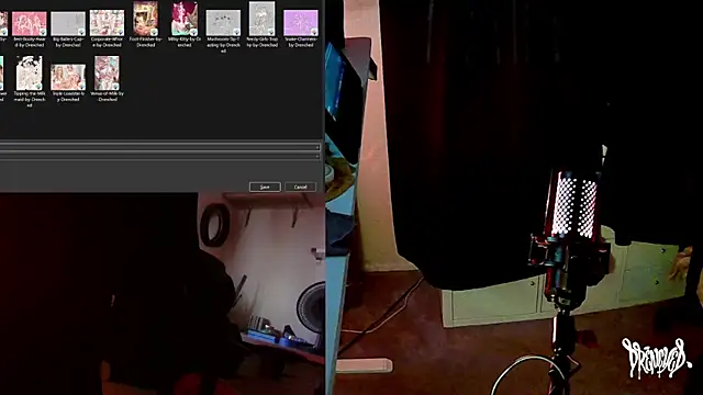 DrenchedArt webcam