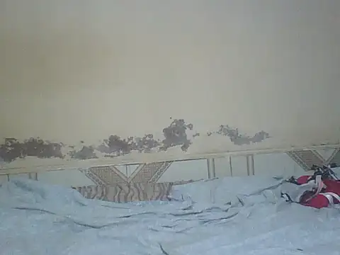 Naivegirrl webcam