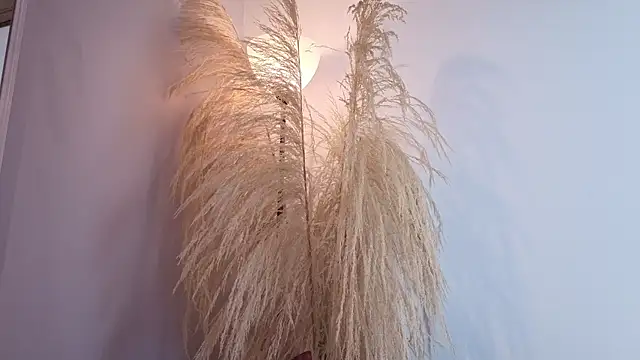Elecktra_sweet webcam