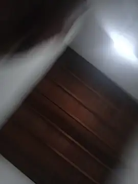 chocolate1973 webcam