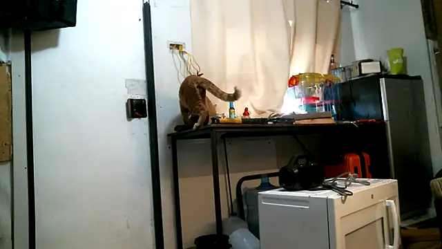 SexyB214 webcam