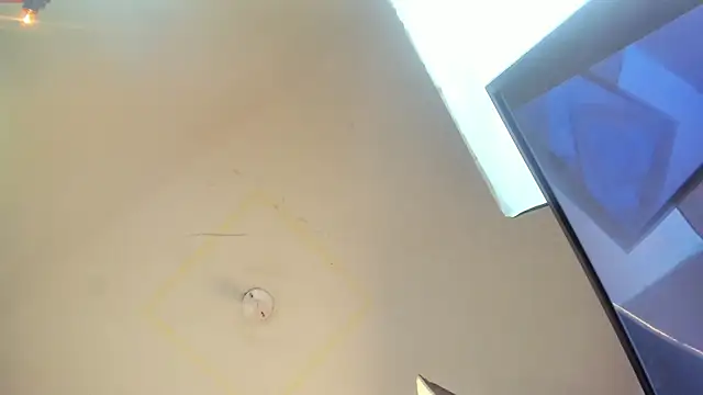 wandaliones webcam