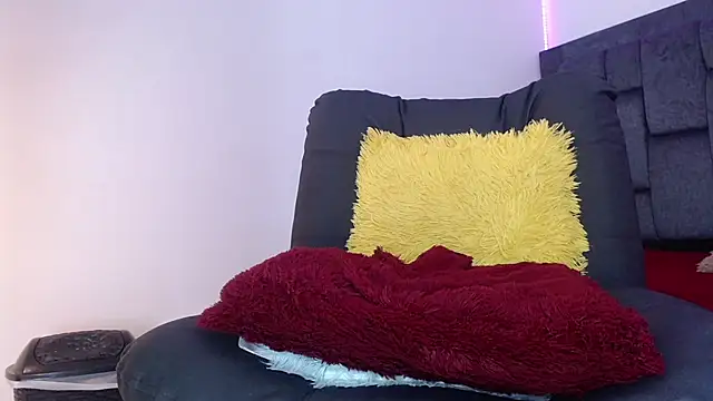 dirty_model webcam