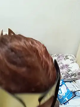 Alevsiz webcam