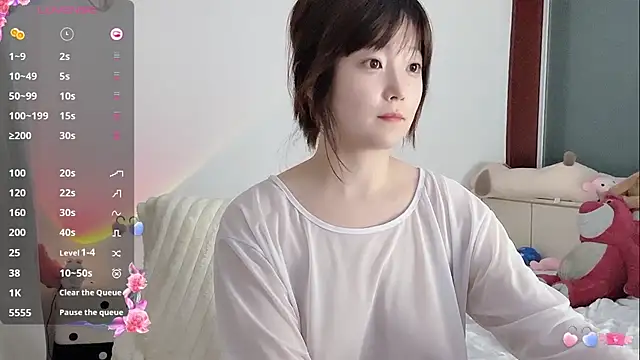 _flipped_ webcam