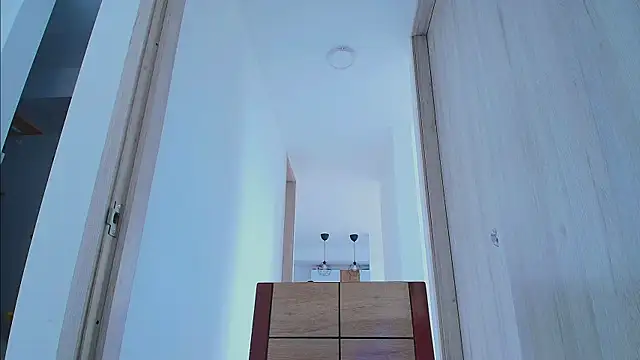 thomas_gun