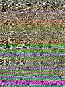 MarikaWild93 webcam