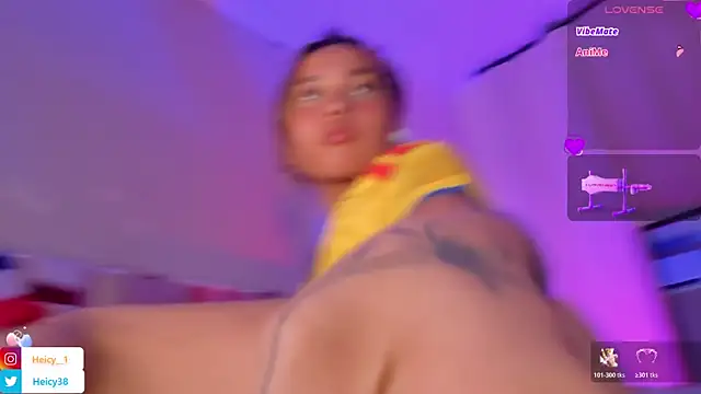 Heicy_ webcam