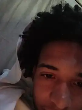 TheRiseOfDick webcam