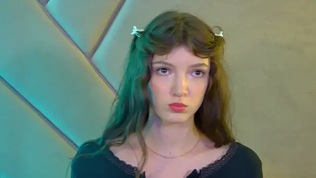 SophiaProve webcam