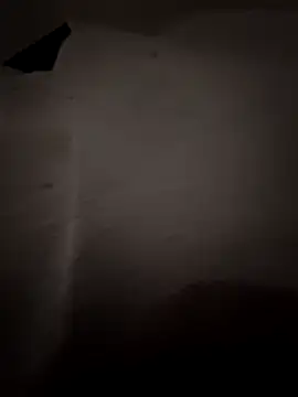 DanOnCam webcam