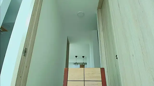 thomas_gun webcam
