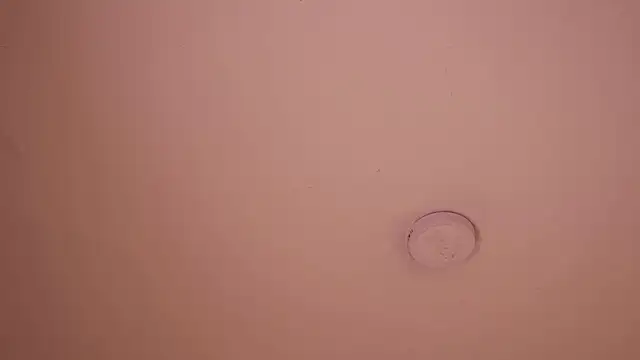 soidai_miiu webcam