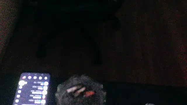 Andre95x webcam