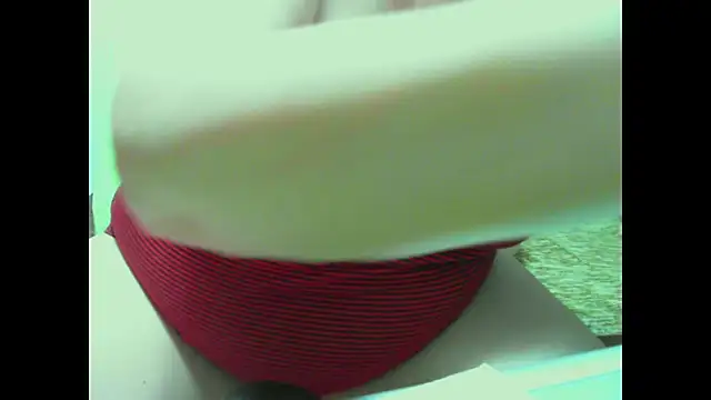 Hyllda webcam